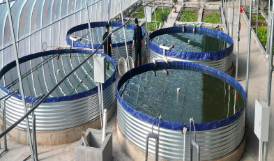 guide to indoor aquaculture equipment guide to indoor aquaculture equipment